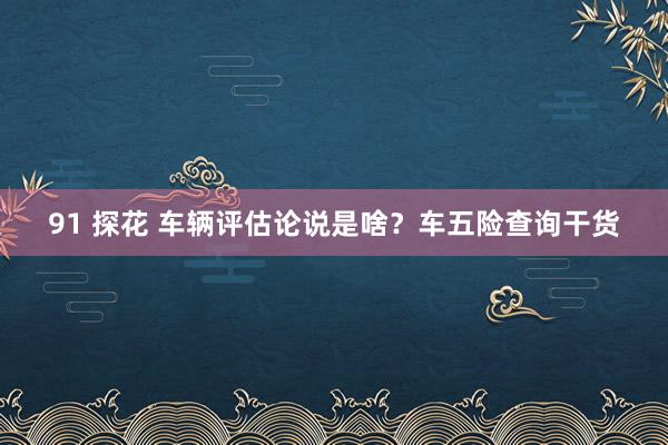 91 探花 车辆评估论说是啥？车五险查询干货