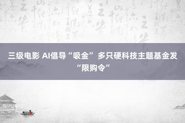 三级电影 AI倡导“吸金” 多只硬科技主题基金发“限购令”