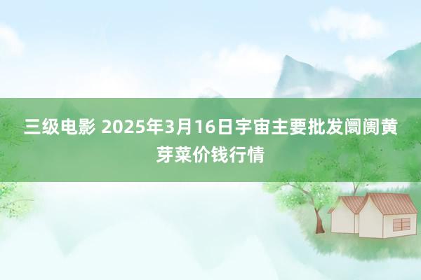 三级电影 2025年3月16日宇宙主要批发阛阓黄芽菜价钱行情
