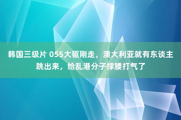 韩国三级片 055大驱刚走，澳大利亚就有东谈主跳出来，给乱港分子撑腰打气了