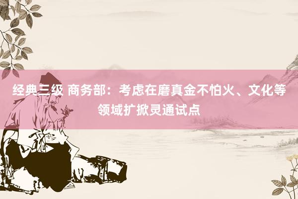 经典三级 商务部：考虑在磨真金不怕火、文化等领域扩掀灵通试点