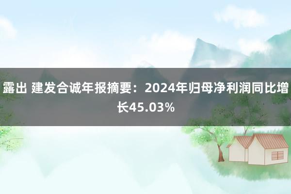 露出 建发合诚年报摘要：2024年归母净利润同比增长45.03%
