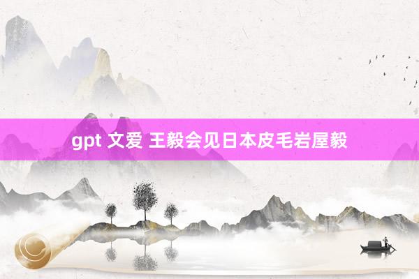 gpt 文爱 王毅会见日本皮毛岩屋毅
