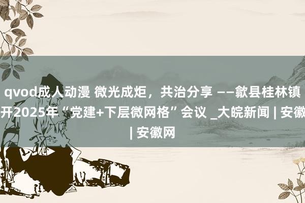 qvod成人动漫 微光成炬，共治分享 ——歙县桂林镇召开2025年“党建+下层微网格”会议 _大皖新闻 | 安徽网