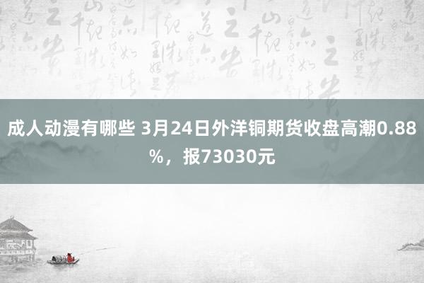 成人动漫有哪些 3月24日外洋铜期货收盘高潮0.88%，报73030元