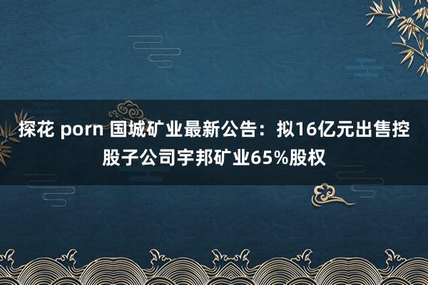 探花 porn 国城矿业最新公告：拟16亿元出售控股子公司宇邦矿业65%股权
