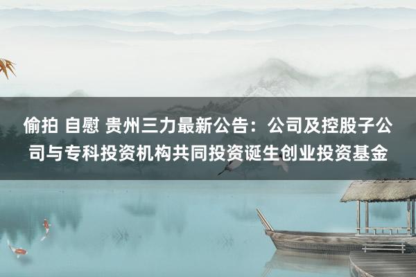 偷拍 自慰 贵州三力最新公告：公司及控股子公司与专科投资机构共同投资诞生创业投资基金