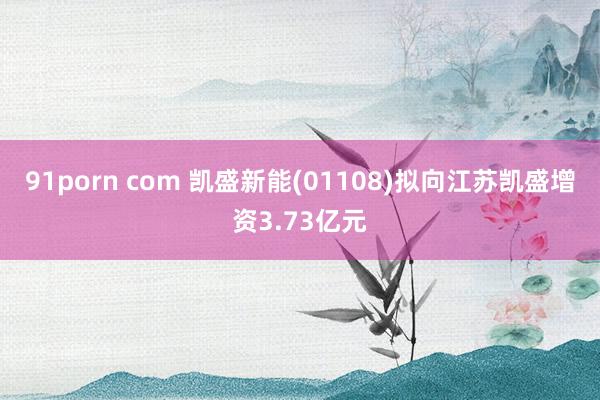 91porn com 凯盛新能(01108)拟向江苏凯盛增资3.73亿元