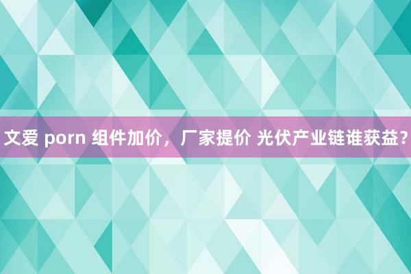 文爱 porn 组件加价，厂家提价 光伏产业链谁获益？