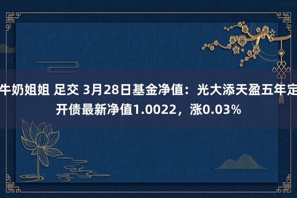 牛奶姐姐 足交 3月28日基金净值：光大添天盈五年定开债最新净值1.0022，涨0.03%