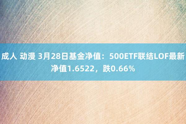 成人 动漫 3月28日基金净值：500ETF联结LOF最新净值1.6522，跌0.66%