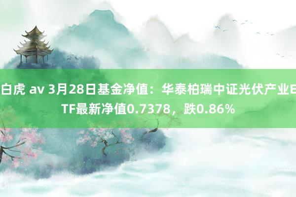 白虎 av 3月28日基金净值：华泰柏瑞中证光伏产业ETF最新净值0.7378，跌0.86%
