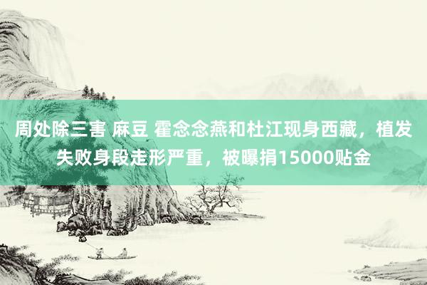周处除三害 麻豆 霍念念燕和杜江现身西藏，植发失败身段走形严重，被曝捐15000贴金