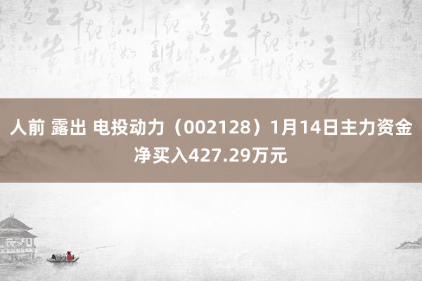 人前 露出 电投动力（002128）1月14日主力资金净买入427.29万元