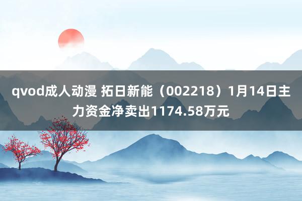 qvod成人动漫 拓日新能（002218）1月14日主力资金净卖出1174.58万元