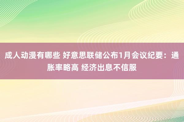 成人动漫有哪些 好意思联储公布1月会议纪要：通胀率略高 经济出息不信服