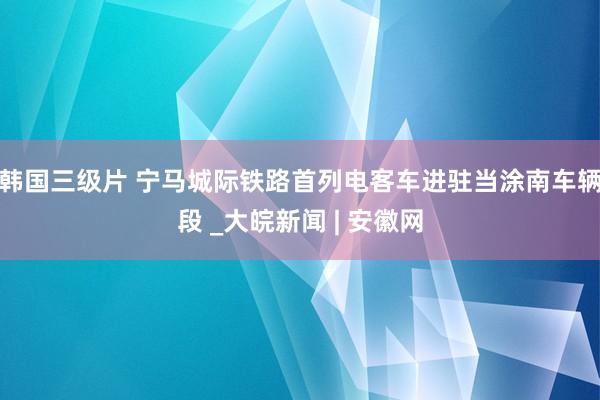 韩国三级片 宁马城际铁路首列电客车进驻当涂南车辆段 _大皖新闻 | 安徽网