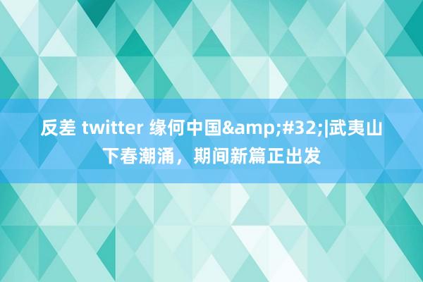 反差 twitter 缘何中国&#32;|武夷山下春潮涌，期间新篇正出发