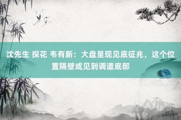 沈先生 探花 韦有新：大盘呈现见底征兆，这个位置隔壁或见到调遣底部