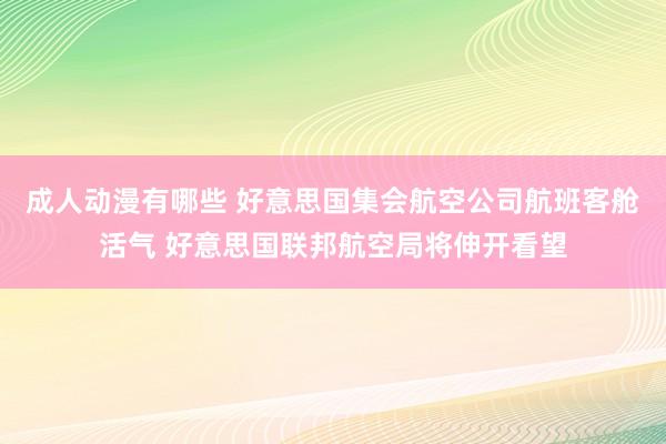 成人动漫有哪些 好意思国集会航空公司航班客舱活气 好意思国联邦航空局将伸开看望