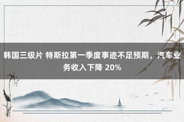 韩国三级片 特斯拉第一季度事迹不足预期，汽车业务收入下降 20%