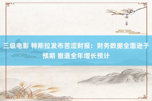 三级电影 特斯拉发布苦涩财报：财务数据全面逊于预期 撤退全年增长预计