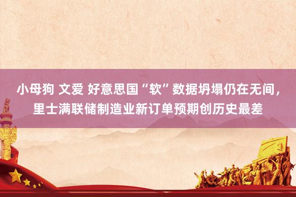 小母狗 文爱 好意思国“软”数据坍塌仍在无间，里士满联储制造业新订单预期创历史最差