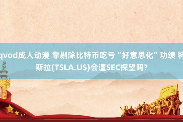 qvod成人动漫 靠剔除比特币吃亏“好意思化”功绩 特斯拉(TSLA.US)会遭SEC探望吗?