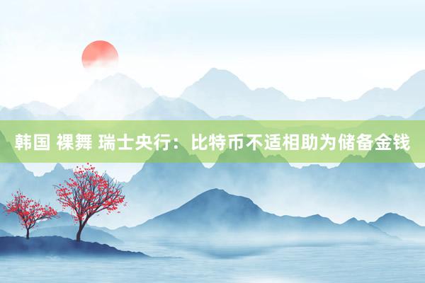 韩国 裸舞 瑞士央行：比特币不适相助为储备金钱